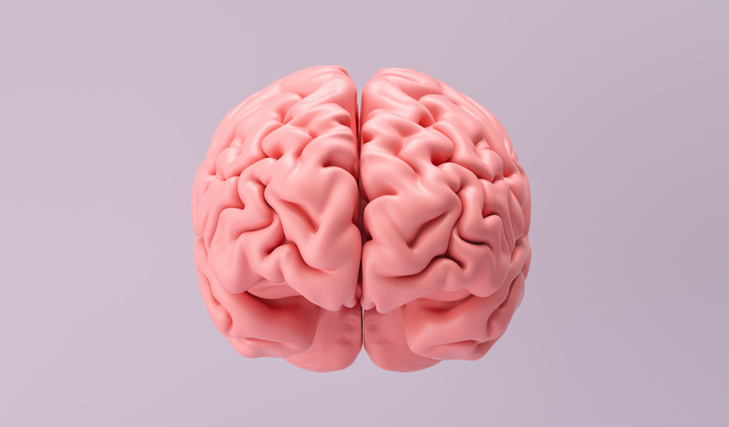 Neuropsicologia: O Guia Completo Para Entender a Conexão Entre Cérebro e Comportamento
